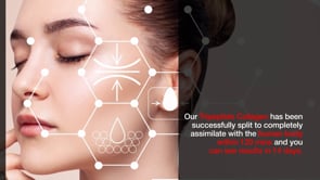 Lifestyle Introductory Offer